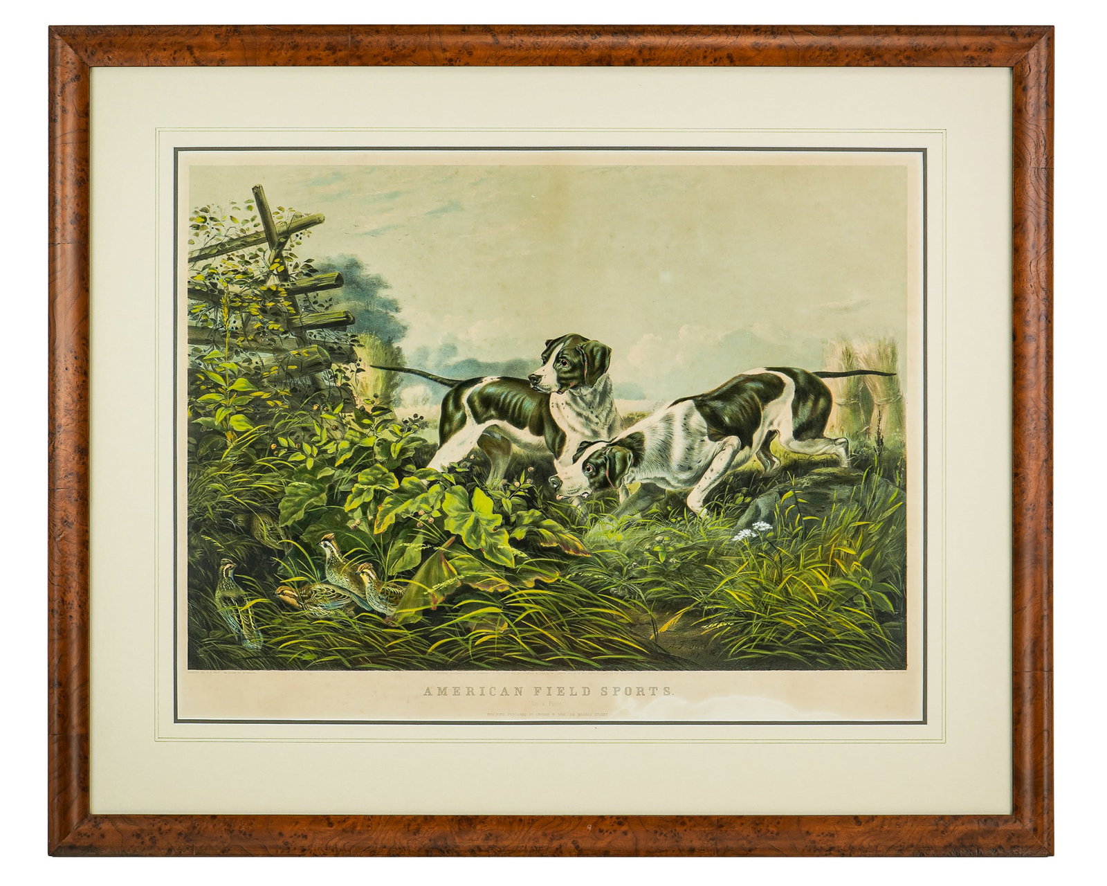 Large Folio Currier and Ives "American Field Sports": Currier and Ives - After Arthur F Tait "American Field Sports" (On A Point) large folio hand colored lithograph with strong colors. 18.5 x 26.5" 31 x 38" as framed. published 1857