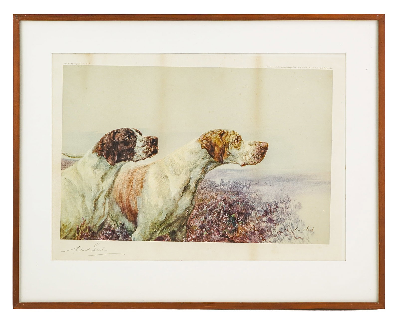 Maud Earl (EN 1864-1943) Two Pointers: Maud Earl (English 1864-1943) Two Pointers - Photogravure on paper signed lower left. published 1905 Berlin Photographic Company Berlin/London - 13 x 21" 23 x 29" as framed. Maud's profession was the