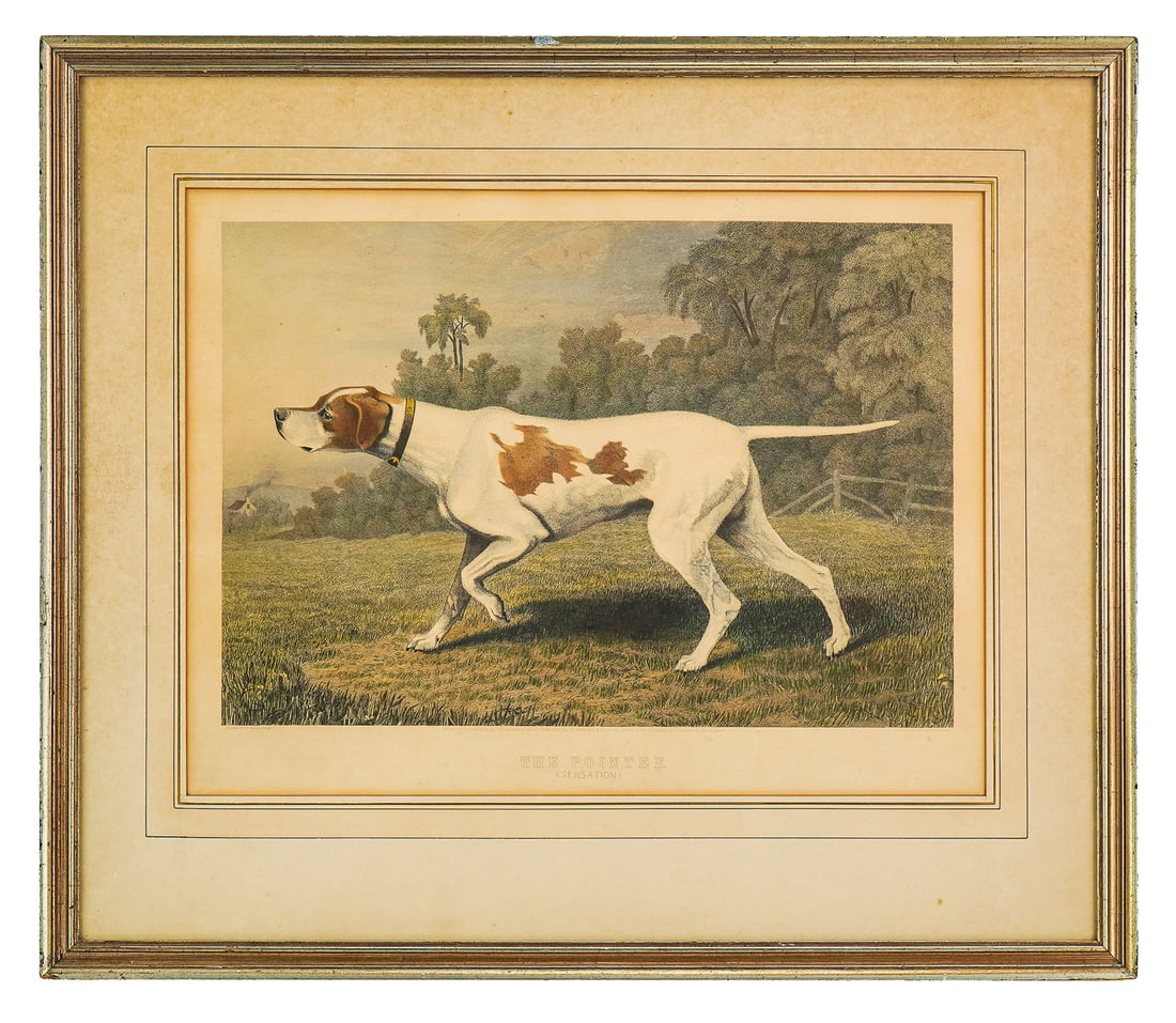 J Wellstood (EN) The Pointer (Sensation): J Wellstood (English) The Pointer (Sensation) hang colored lithograph on paper - plate 13 x 19" 25 x 29" as framed.