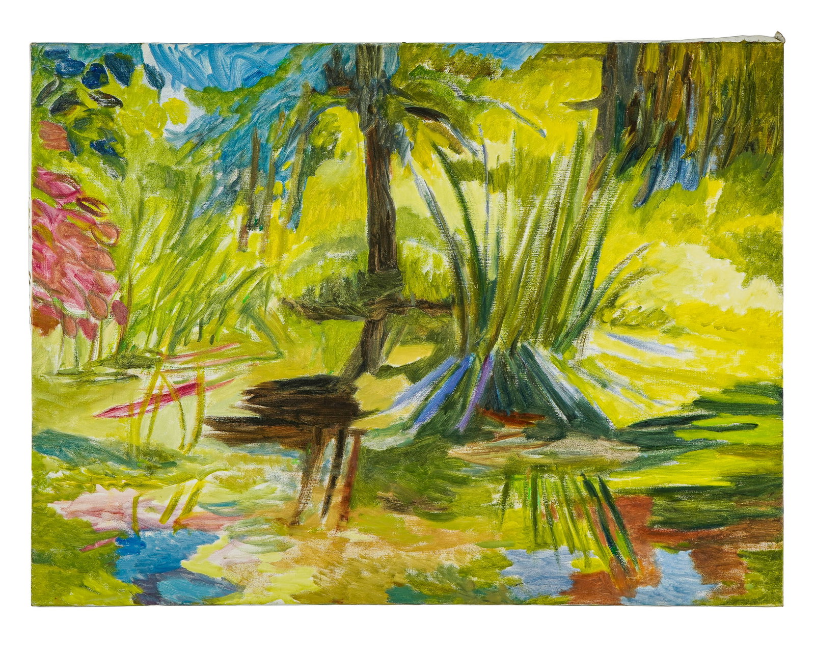 Lee Garrison (AM 1928-2014 ) Tropical Garden: Lee Garrison (Vermont 1928-2014) Tropical Garden oil on canvas 30 x 40" Sold to Benefit Burlington City Arts- Lee graduated from Connecticut College '49, Oxford University '51 and the Philadelphia