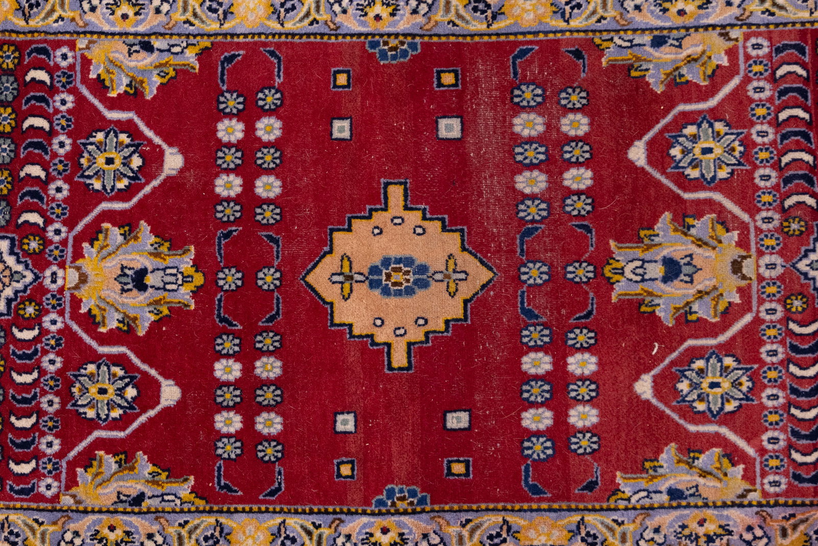 Persian Style Area Rug - 2