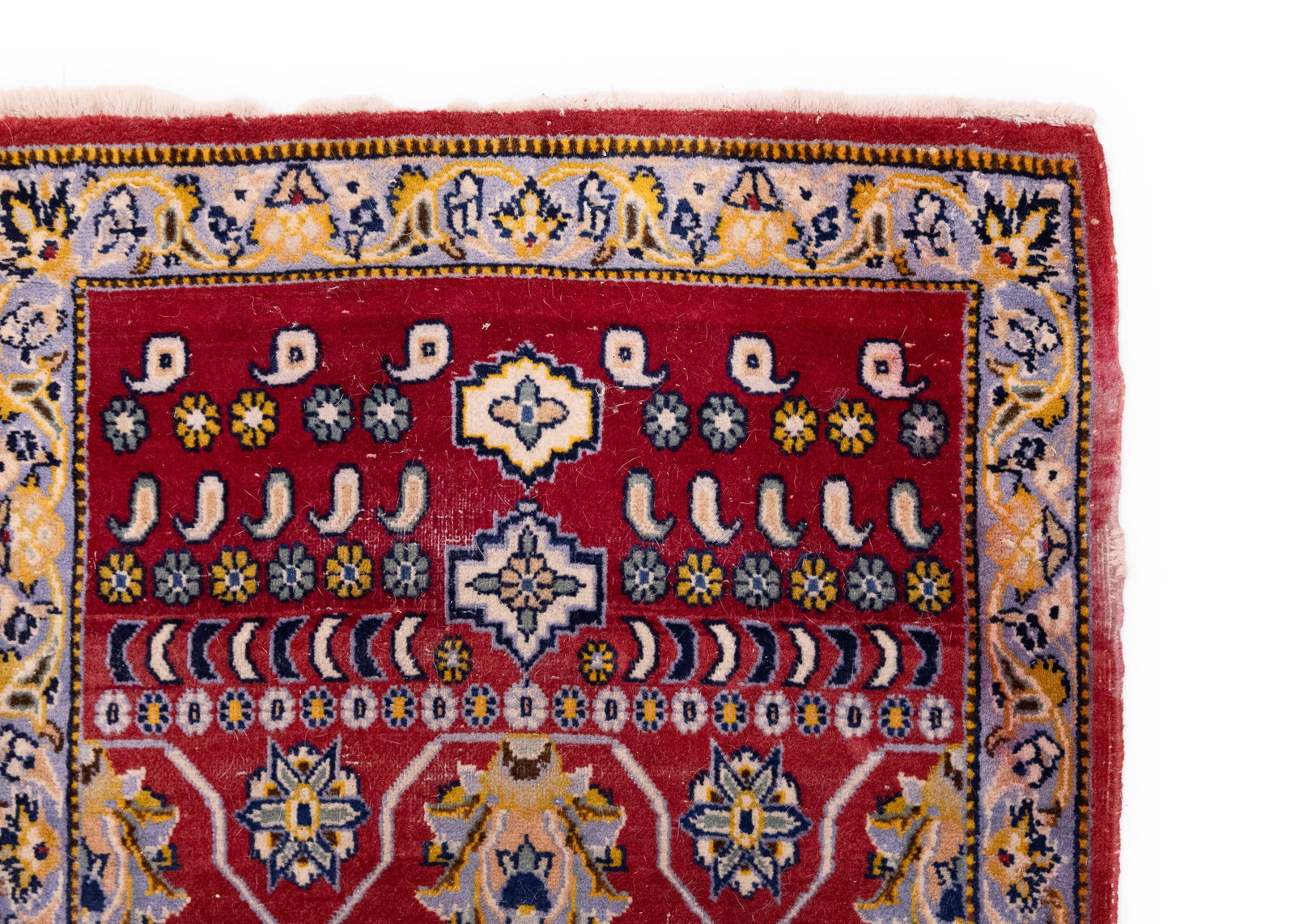 Persian Style Area Rug - 3
