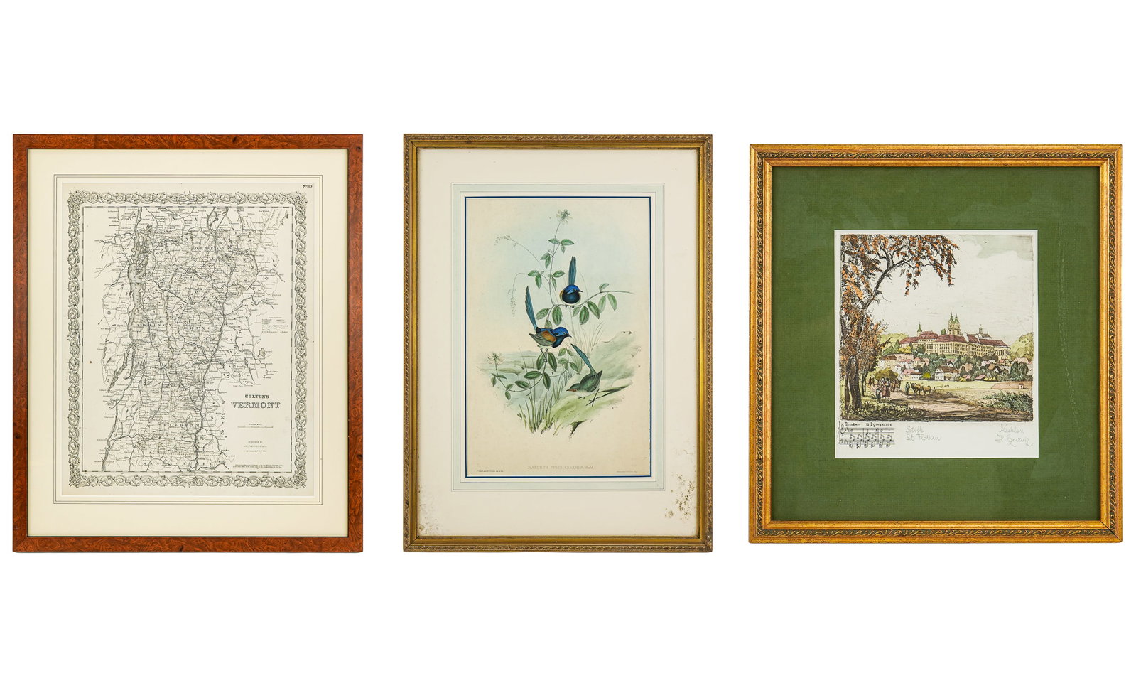 Three Framed Prints: Three Framed Prints- Colton's Vermont Map 22 x 18"; J Gould-Malurus Pulcherrimus 28.5 x 21.5" as framed; Herta Czoernig-Gobanz (1886-1970) Village and Monastery of St. Florian - 14 x 14" as framed.