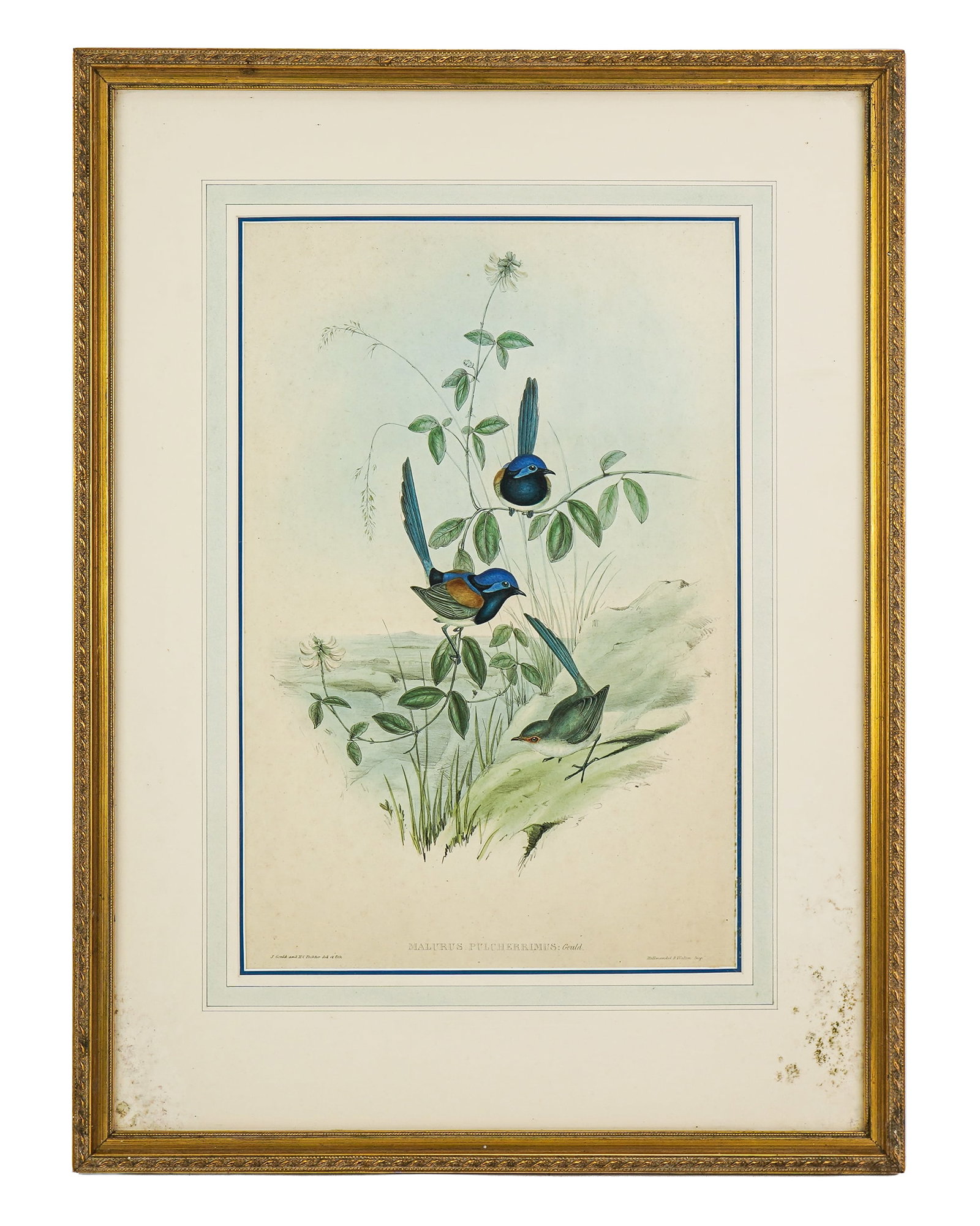 Three Framed Prints - 2