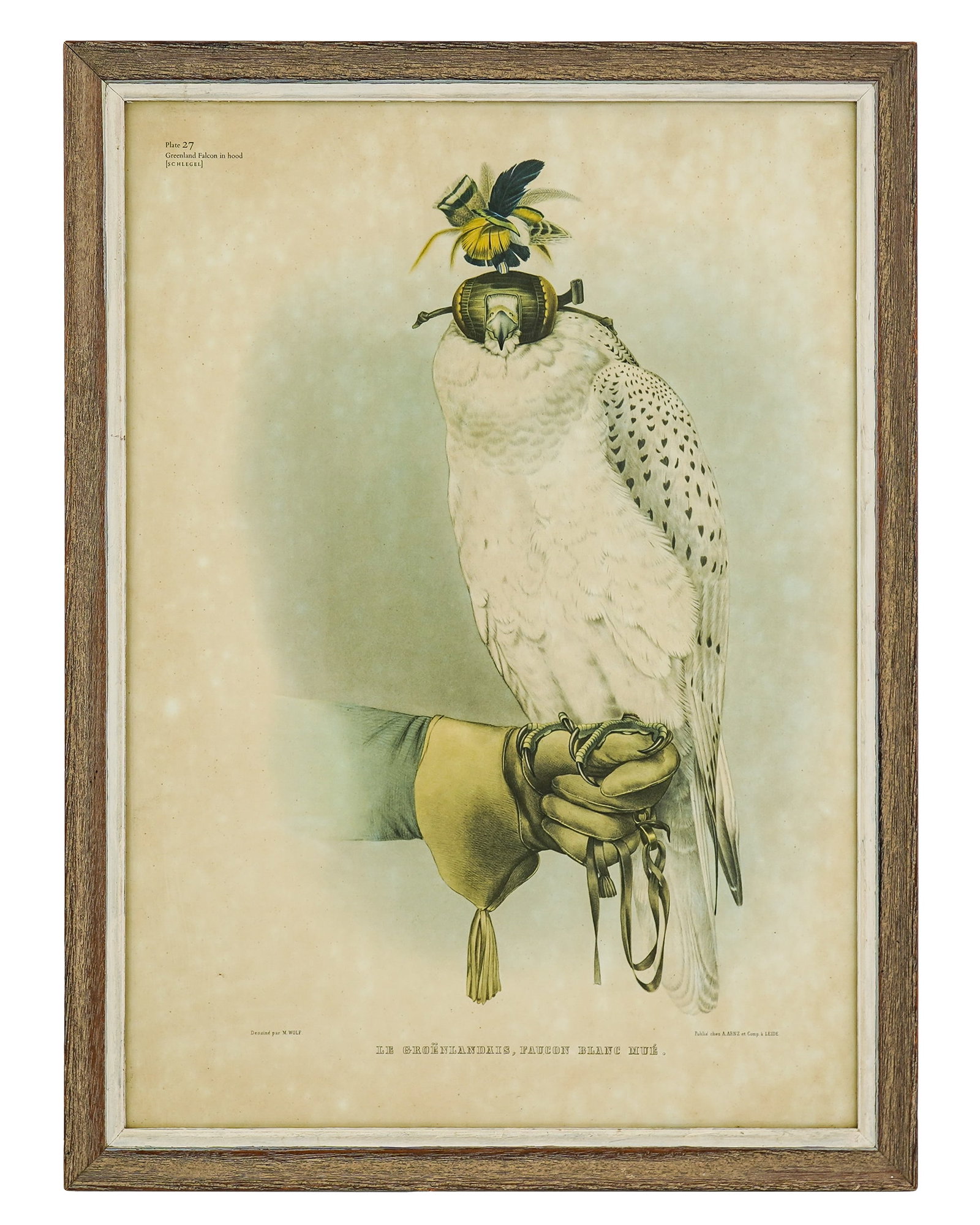 Group of sporting art- - 4