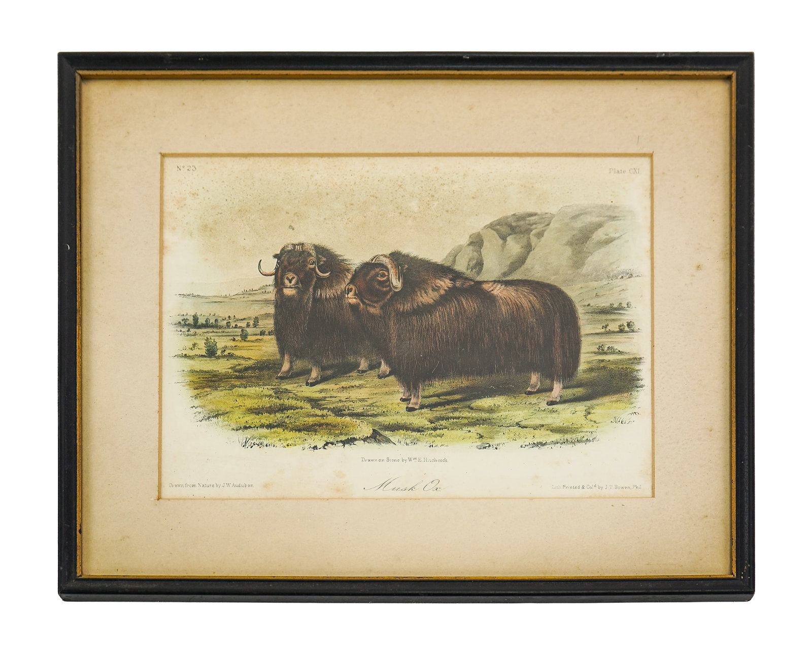 Group of sporting art- - 8