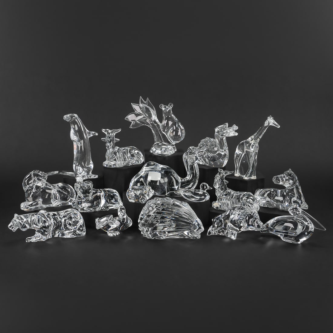 18 Baccarat Crystal Animal Figures: Collection of 18 Baccarat French crystal art glass figures including camel, porcupine, goat, lady bug, boar, otter, pig, giraffe, dragon, lion horses, etc. 2.5" -6"
