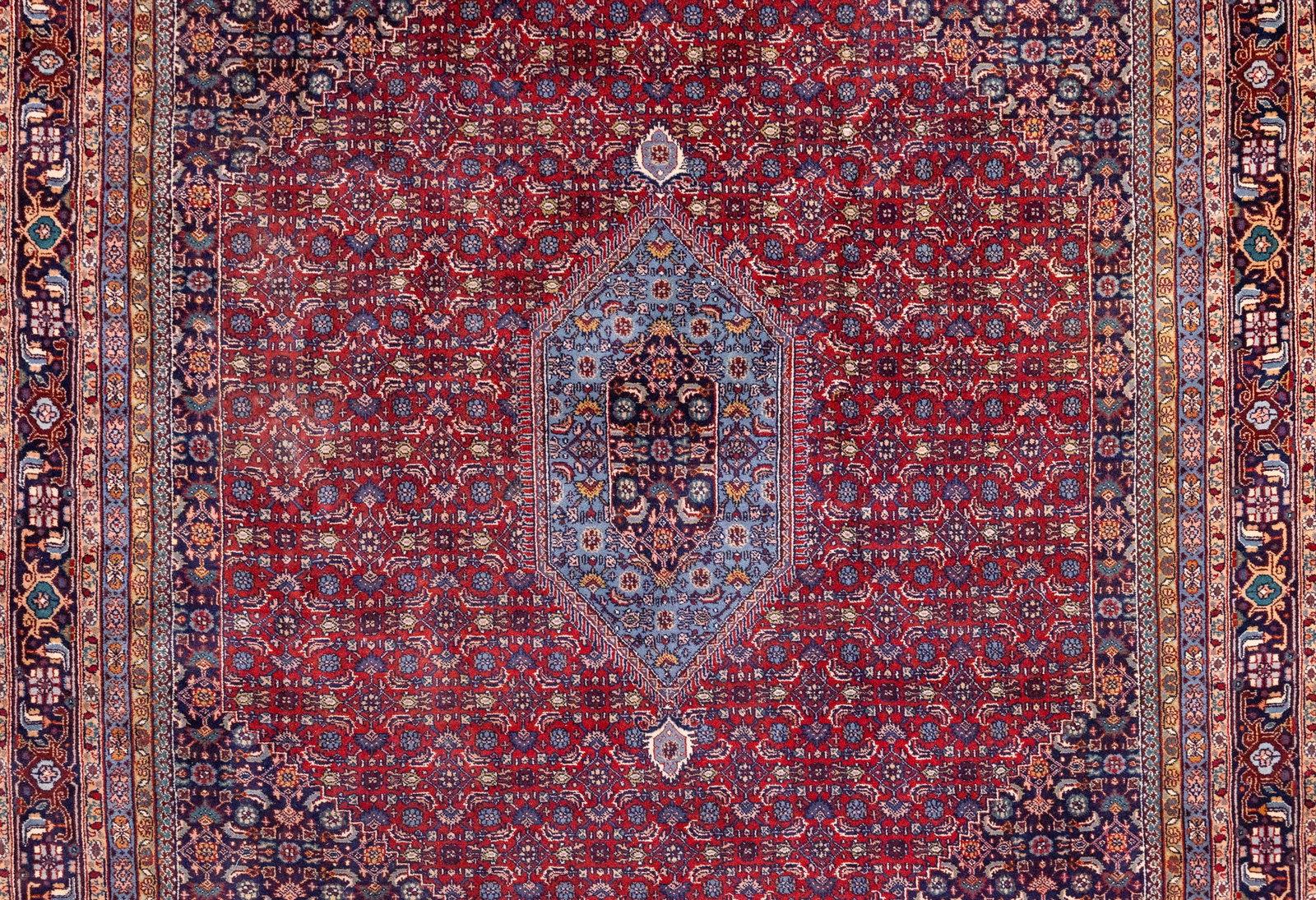 Indo-Pakistani Bidjar Main Carpet - 2
