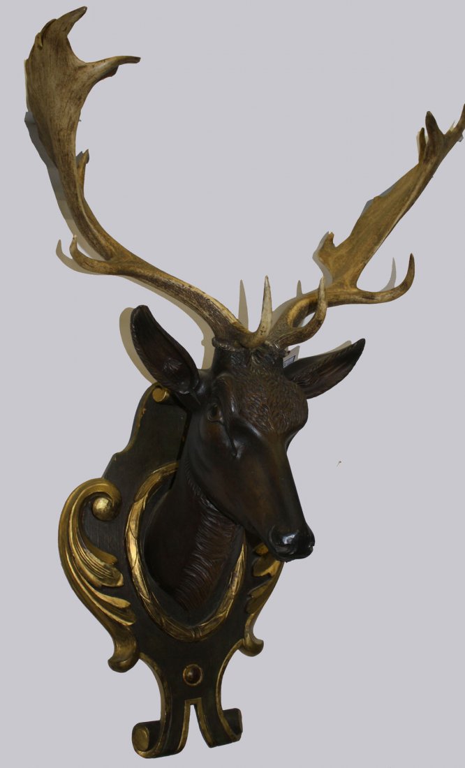 20th C German black forest fallow deer antler mount: 20th C German black forest fallow deer antler mount with carved deer head wall plaque 43"