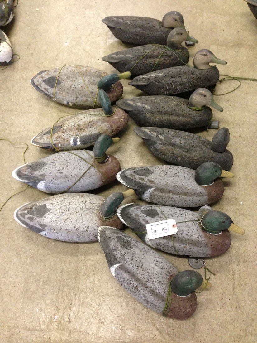 Dozen L. L. Bean type cork body mallord decoys. 7: Dozen L. L. Bean type cork body mallord decoys. 7 drakes, 6 hens.