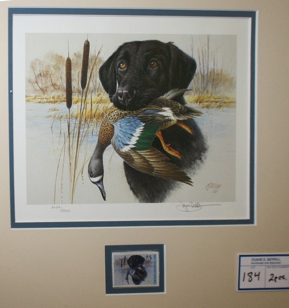 Jim Killen stamp for Duck Unlimited w/signed and: Jim Killen stamp for Duck Unlimited w/signed and editioned print, 50th anniversary William C. Morris Federal Duck Stamp and signed print 14.5" x 16", 14" x 14.5"