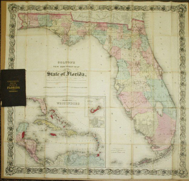 1876 Colton's “New Township Map of the State of (1 of 3)