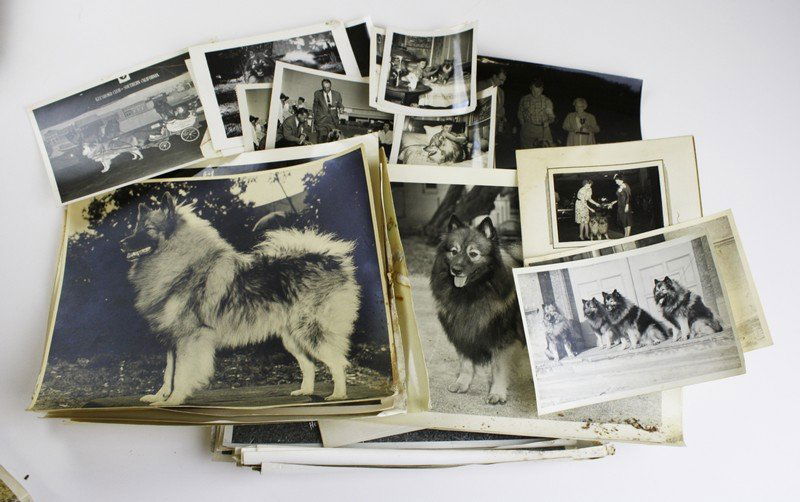 Lot of ephemera relating to Mr. and Mrs. Kenneth (1 of 4)