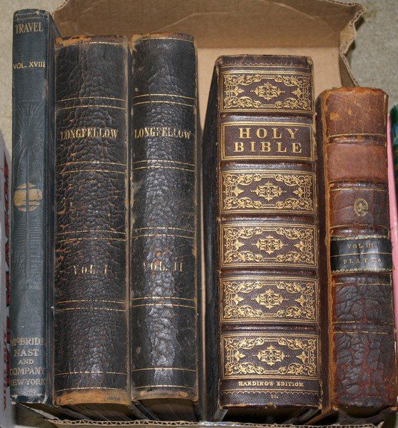 19 th  c books w/ engravings- 1879 Longfellow (2 vols), (1 of 1)