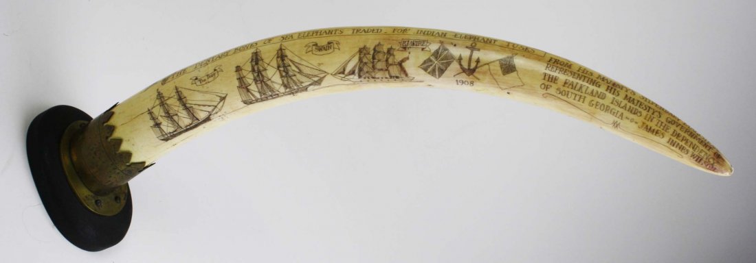 1908 scrimshaw Indian elephant tusk w/ whaling scenes &: 1908 scrimshaw Indian elephant tusk w/ whaling scenes & several inscriptions: the dentary bones of sea elephants traded for Indian elephant tusks; the Daisy, the Swain, the Empire; this godforsaken is