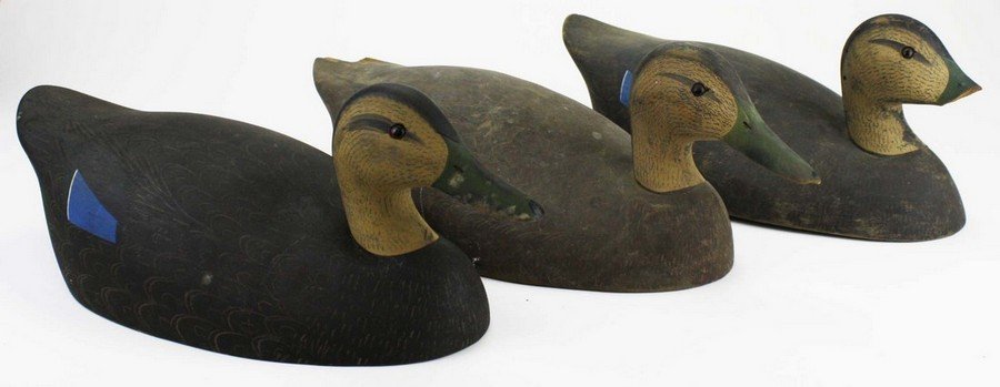 3 Ken Harris Woodville NY signed black duck decoys. One: 3 Ken Harris Woodville NY signed black duck decoys. One good, one broken bill, one chipped.