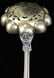 2 Tiffany & Co. "Olympian" pattern gold-washed sterling - 5