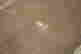 item-47990235=3