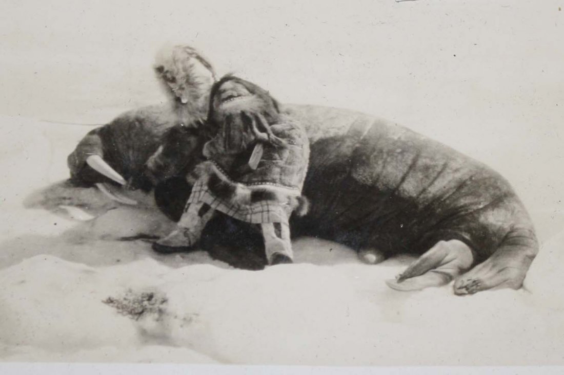 unusual 1927 Alaska photograph album: of the honeymoon trip of Captain and Mrs. C.D. of Pederson Oakland, Calif. on the gasoline schooner whaling ship "Herman" to rescue 6 Eskimo trappers (allegedly first white woman within 1000 miles of 