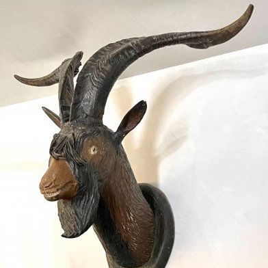 Rare Amsterdam Billy-Goat Head with Horns (1 of 1)