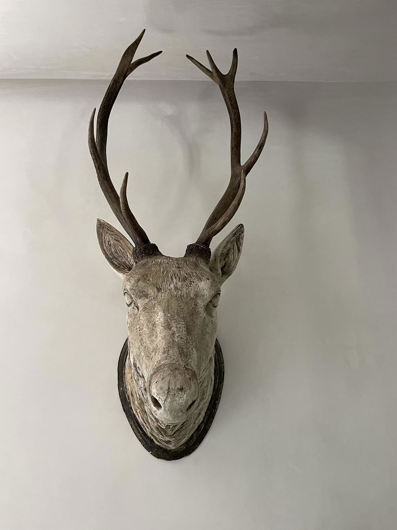 European Composite Deer Head with Real Horns (1 of 1)