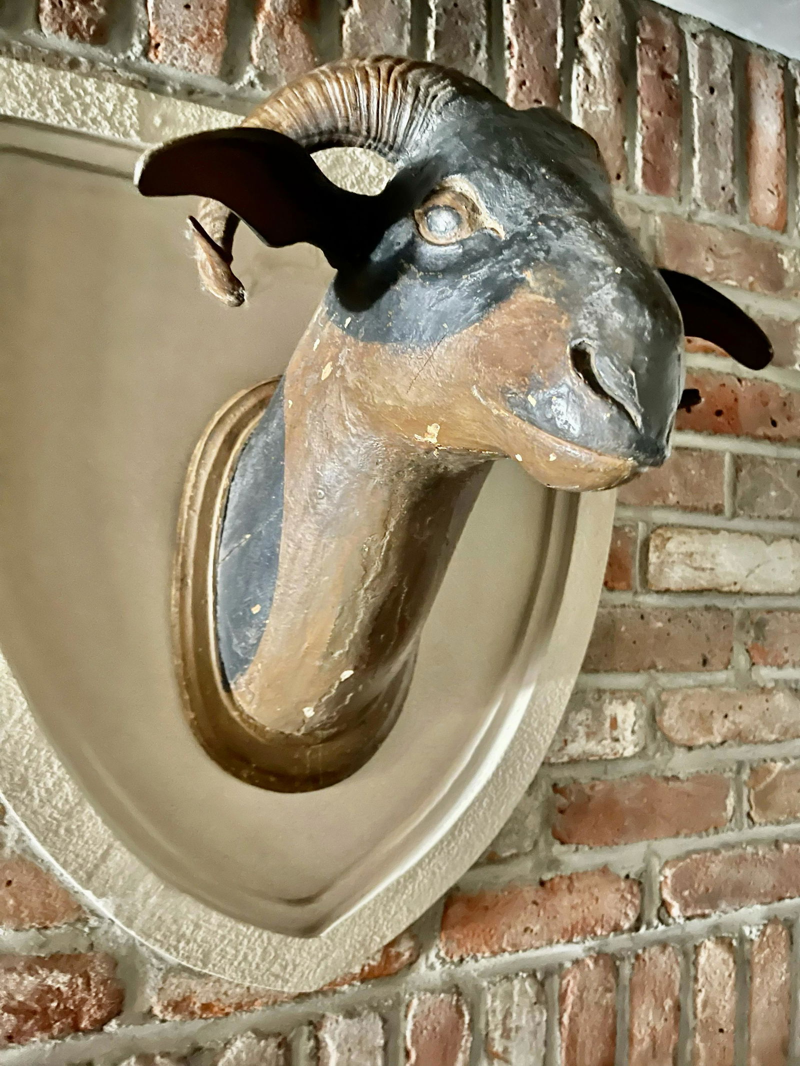 Rare Carved Rams Head with Real Horns (1 of 2)