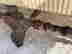 item-114275584=3