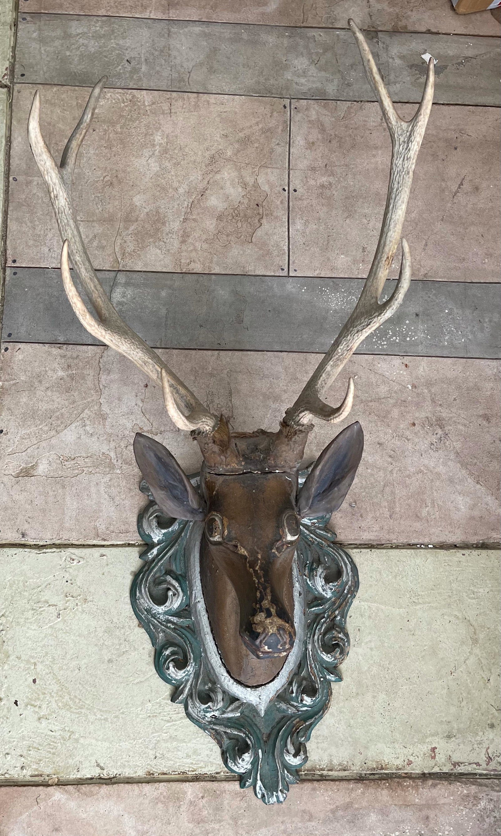 Black Forest Stag Head of Carved Wood (1 of 2)
