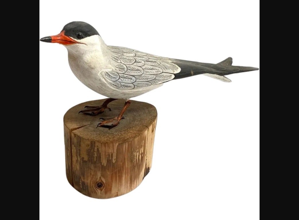 American ROBERT KURKEWICZ Common Tern Bird Bird Carving (1 of 9)