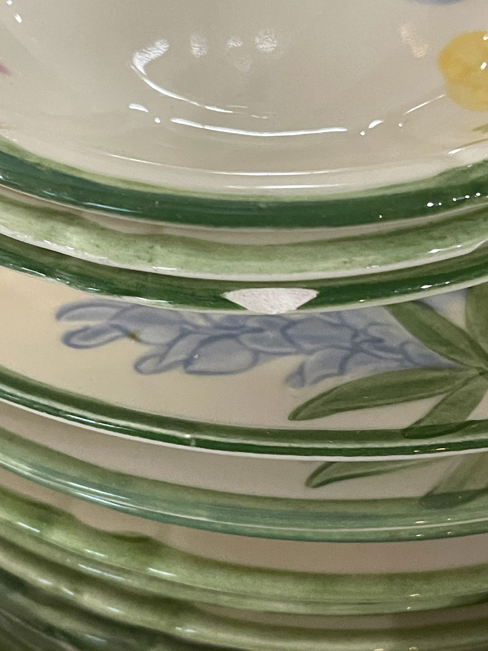 Fransican Wild Flower Partial Dinner Set - 12