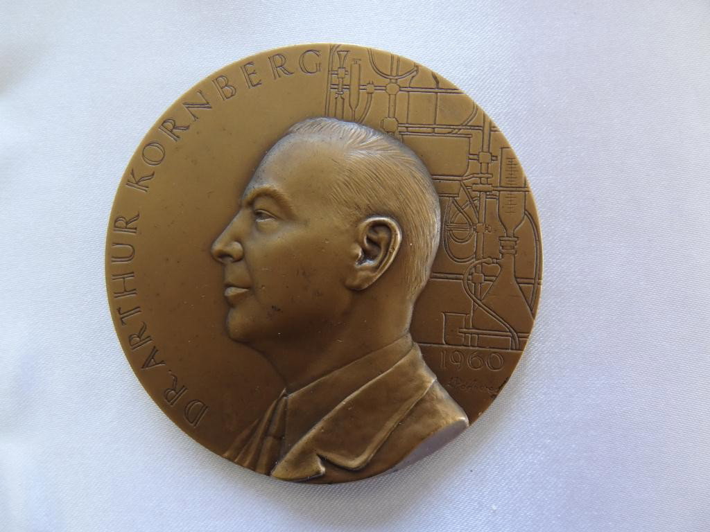 Medallion: Dr. Arthur Kornberg 1960 Bronze 76mm: College of the City of New York Award Medal Date: 1960 Related People: Artist/Maker: Albert P. D'Andrea Artist/Maker: Medallic Art Co. Depicted: Arthur Kornberg Medium: Bronze; cardboard, paper Dimens