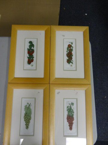 Tidwell, Baraba 4 signed & #'d Fruit Prints: Each one measures 16.25 x 10.75 ". Each one is signed and numbered. Frames have scratches and dings but nothing that some sandpaper and spray paint can't fix up!