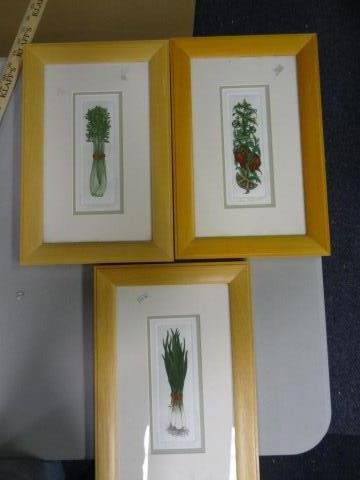Tidwell, Baraba 3 signed & #'d Vegetable Prints: Each one measures 16.25 x 10.75 ". Each one is signed and numbered. Frames have scratches and dings but nothing that some sandpaper and spray paint can't fix up!