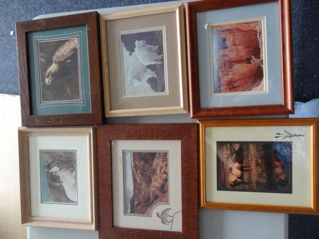 Thomson, James 6 Western Animal Prints signed: Nicely framed and matted. all between 8 x 10 and 12 x 10. Some minor scratches to frames. Think sandpaper and spray paint.