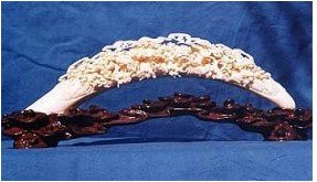 34T: Elephant Bone Fairies Tusk: 99F1 This tusk is made from elephant bone. There are many fairies and animals carved inside the cave, together with flowers, trees, rocks and birds. Very detailed carving. It is all hand carved. It ap