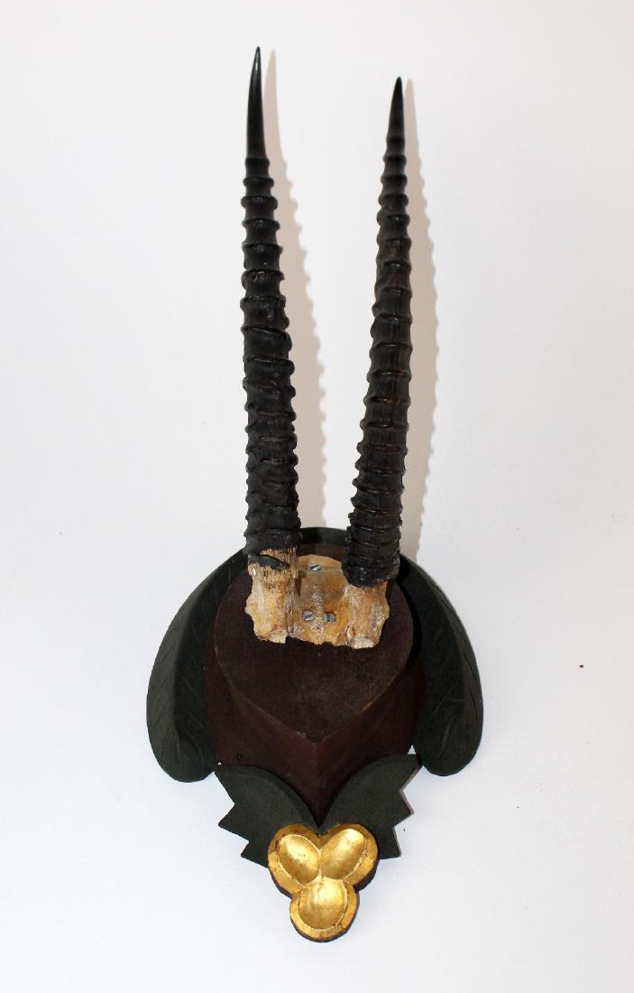 Antelope horn mount on plaque (1 of 3)