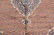 Persian Tabriz rug 6'3 x 9'8 - 3