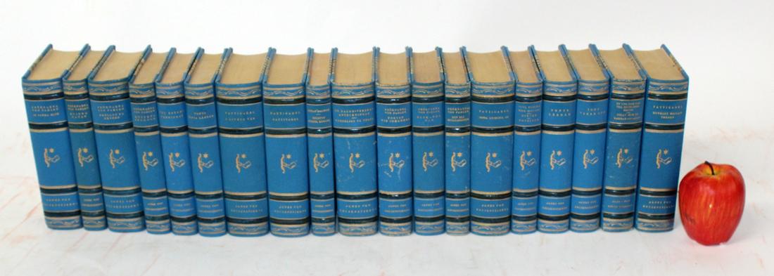 19 volumes Swedish leather bound books (1 of 7)