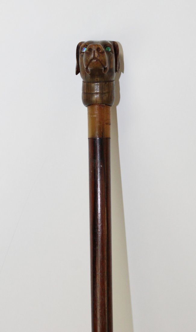 Antique French cane walking stick with dog head (1 of 5)