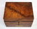 English homeopathic pharmacy box in burled walnut - 5