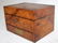 English homeopathic pharmacy box in burled walnut - 7