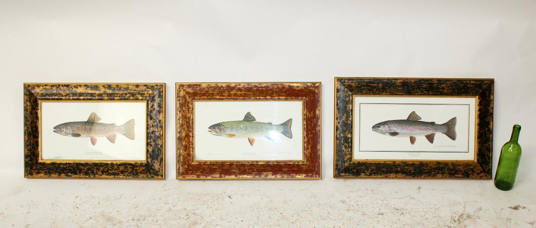 3 Joseph R Tomelleri fish prints (1 of 5)