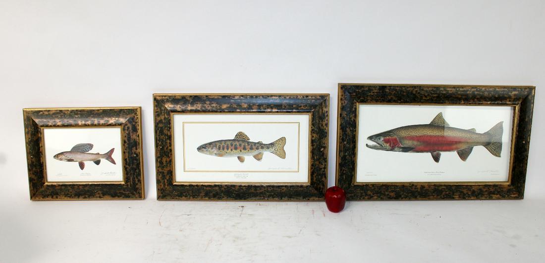 Lot of 3 Joseph Tomelleri signed fish prints (1 of 5)