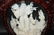 Chinese carved bone sculpture in shadow box - 2