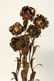 Hollywood Regency Italian gilt metal floor lamp - 3