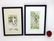 Dru Doyal " Limpkin" and "Stork" watercolor