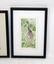Dru Doyal " Limpkin" and "Stork" watercolor - 4