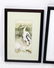 Dru Doyal " Limpkin" and "Stork" watercolor - 5