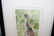 Dru Doyal " Limpkin" and "Stork" watercolor - 6