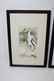 Dru Doyal " Limpkin" and "Stork" watercolor - 8